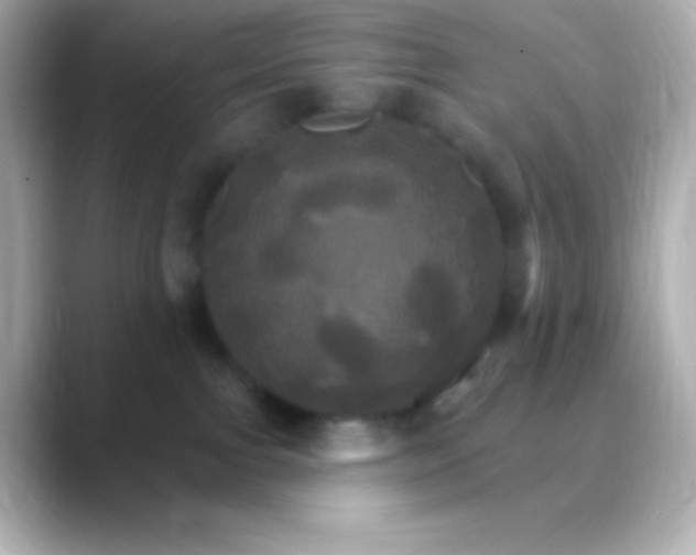 X0000088470091200706051350