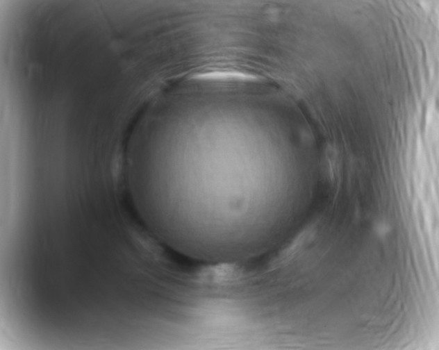 X0000088470092200706051350