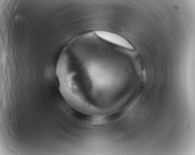 X0000088470093200706051350