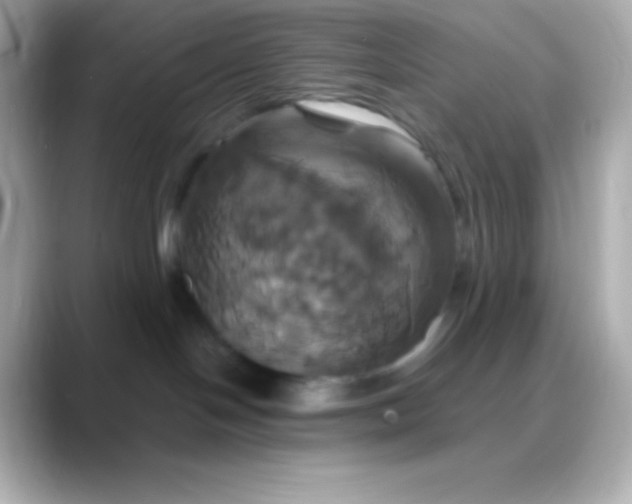 X0000088470094200706051350