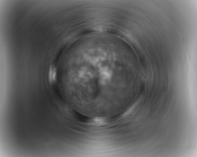 X0000088470095200706051350