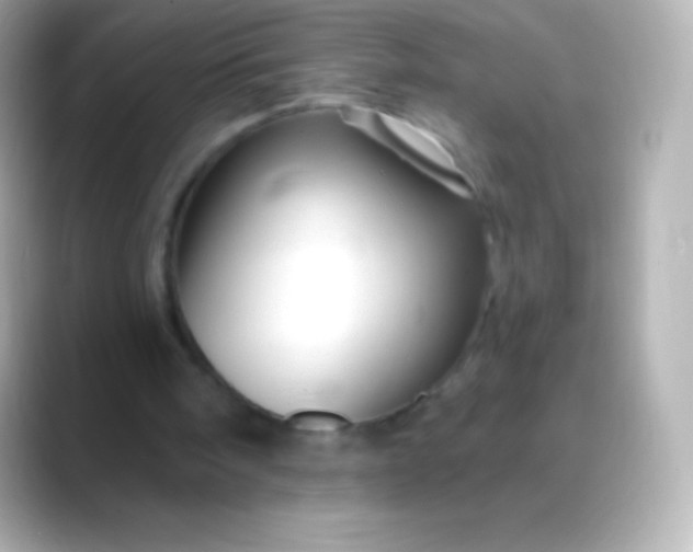 X0000088470098200706051350