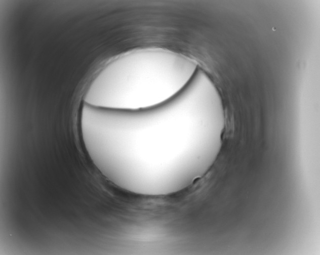 X0000088470099200706051350