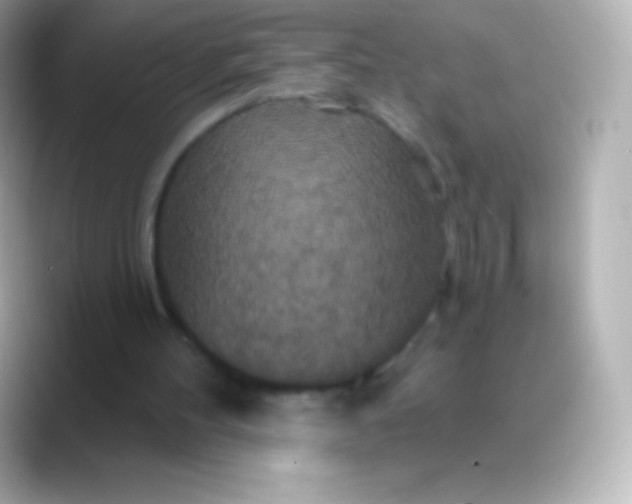 X0000088470100200706051350