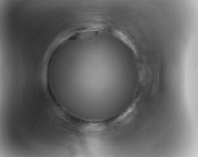 X0000088470101200706051349