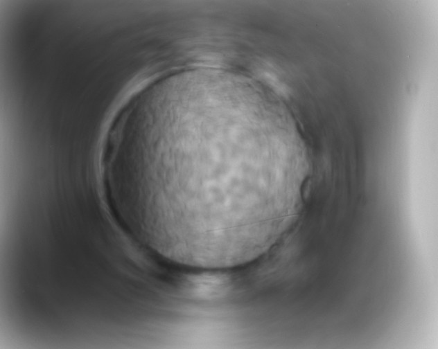 X0000088470102200706051349