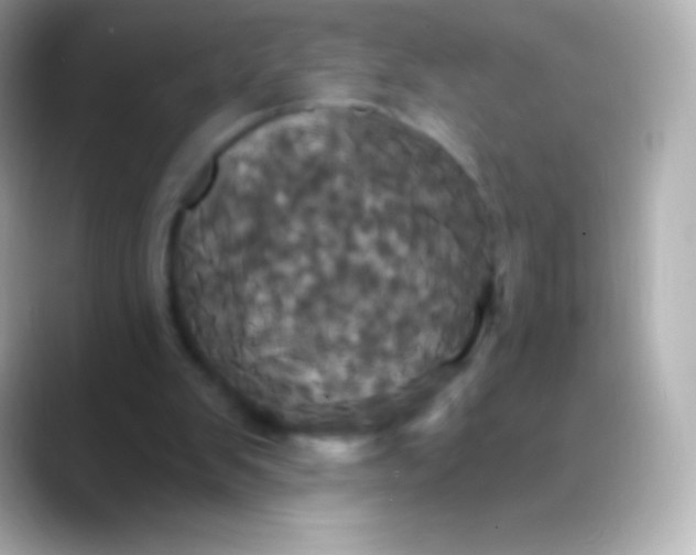 X0000088470103200706051349