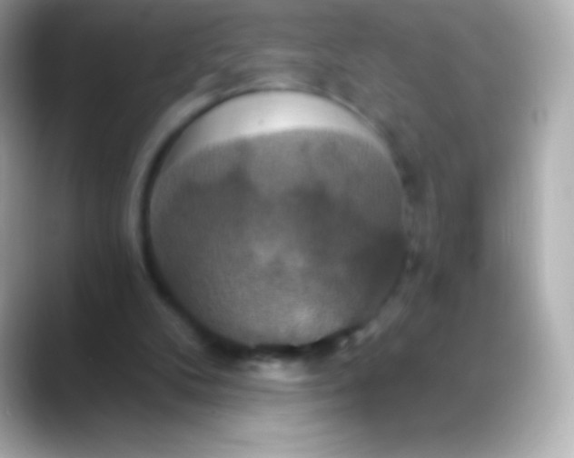 X0000088470104200706051349