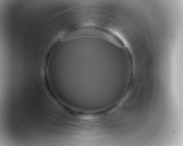 X0000088470105200706051349