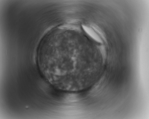 X0000088470107200706051349