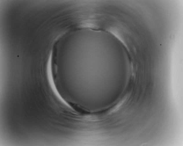 X0000088470109200706051349