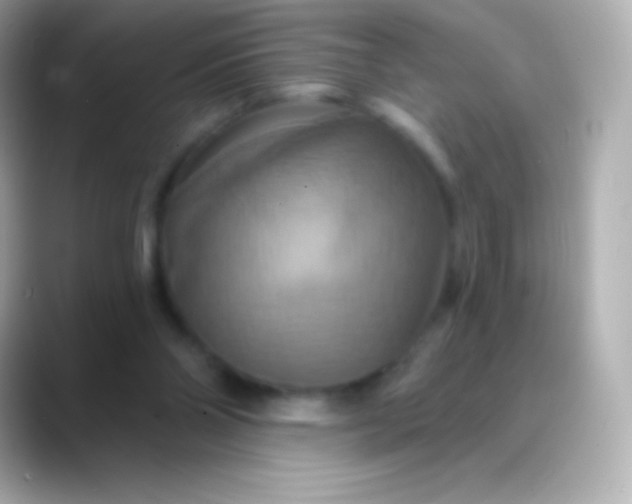 X0000088470110200706051349