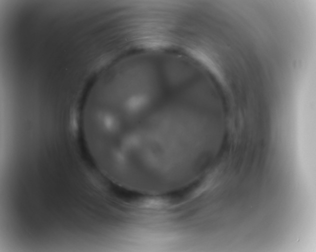 X0000088470115200706051349