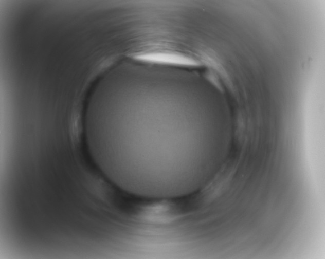 X0000088470116200706051349