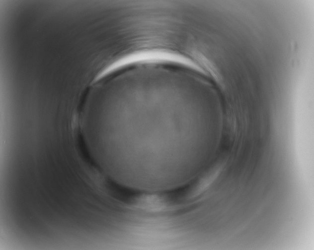 X0000088470117200706051349