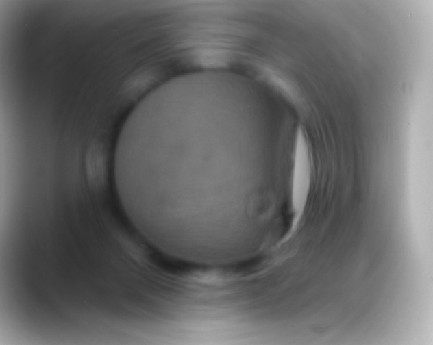 X0000088470120200706051349