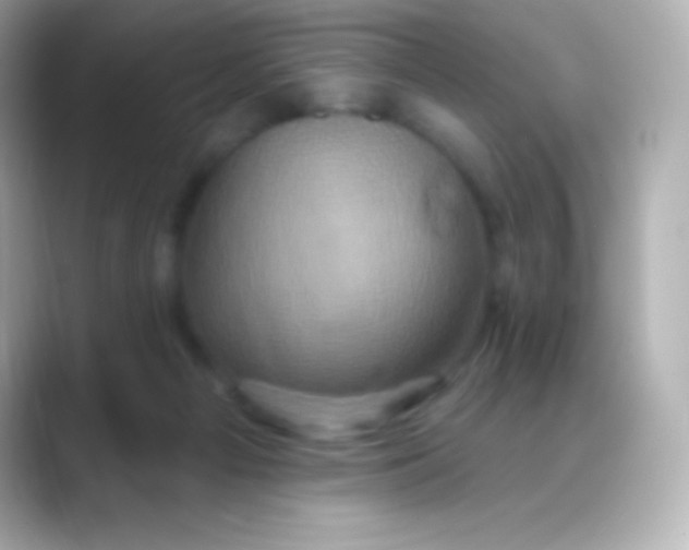 X0000088470121200706051349