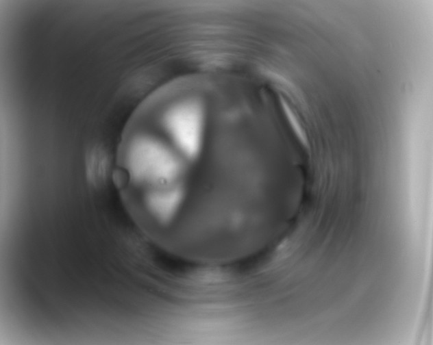 X0000088470123200706051349