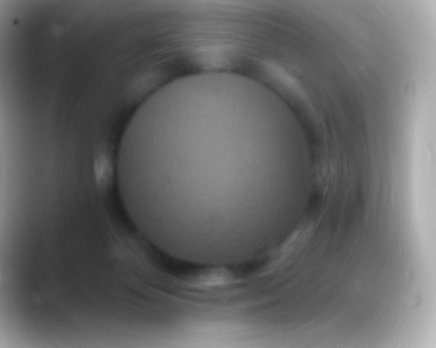 X0000088470124200706051349