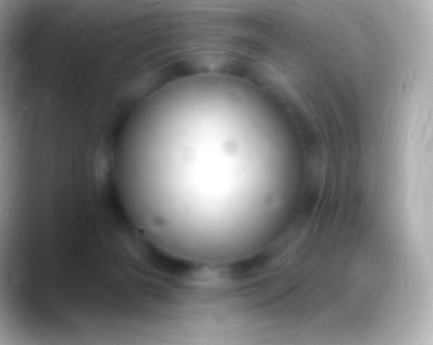 X0000088470126200706051349