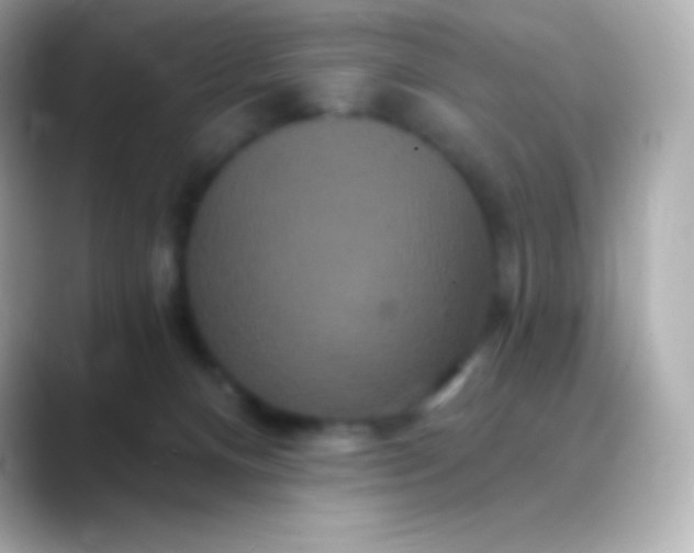 X0000088470128200706051349