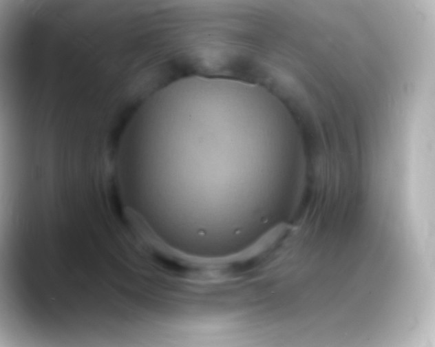 X0000088470129200706051349