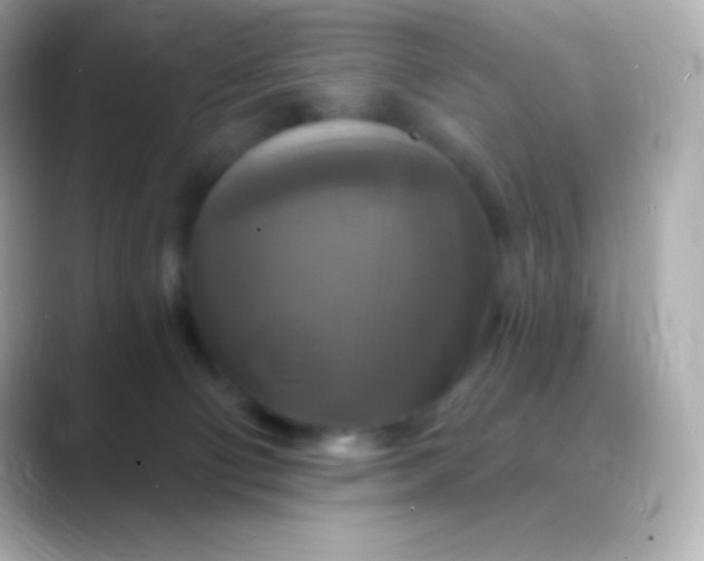 X0000088470130200706051349