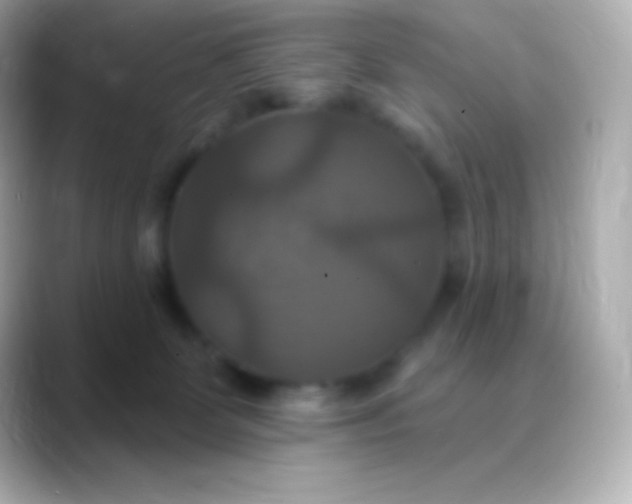 X0000088470131200706051349