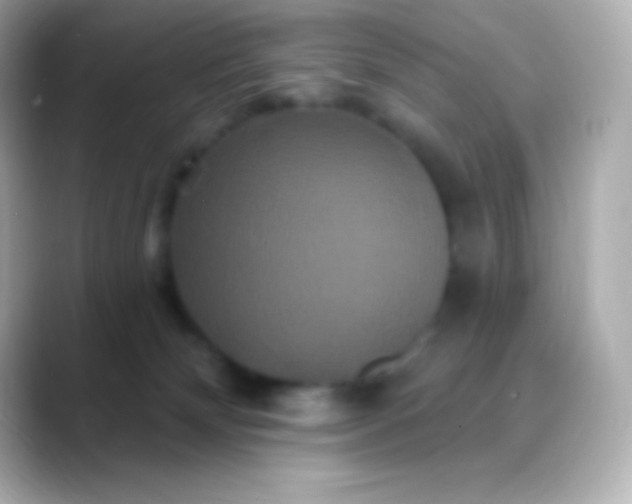 X0000088470132200706051349