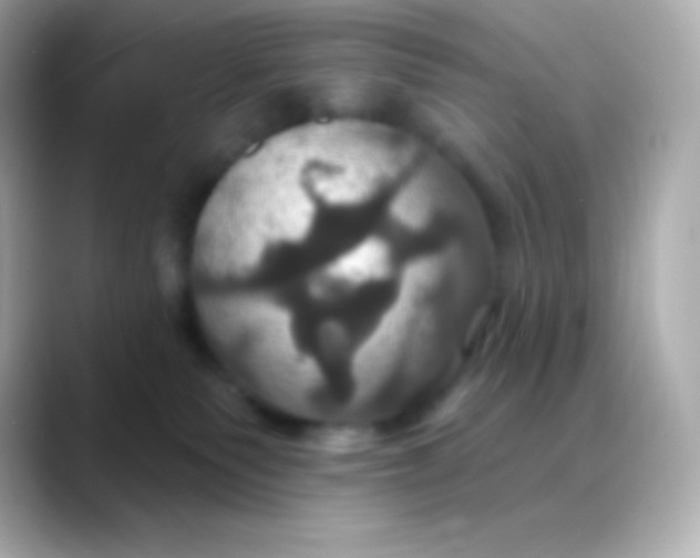 X0000088470135200706051349