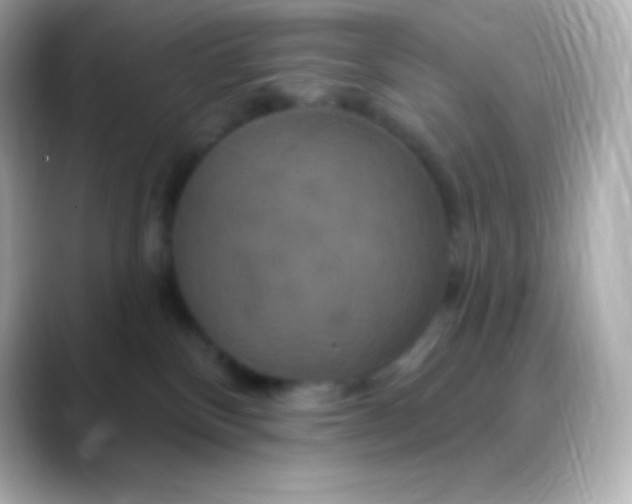 X0000088470136200706051349