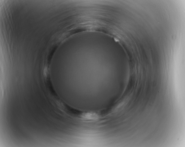 X0000088470137200706051349