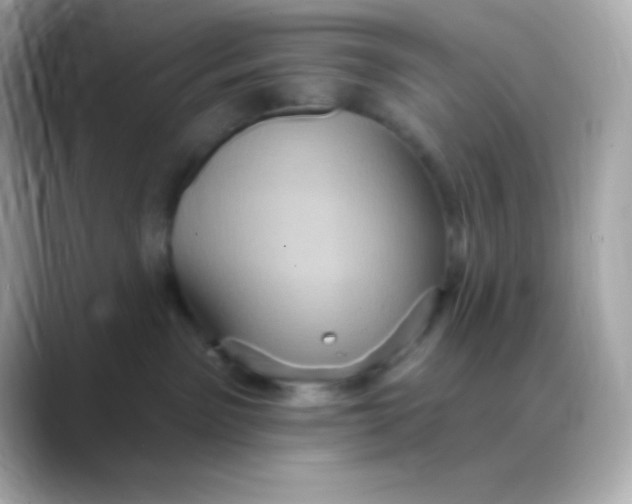 X0000088470141200706051349