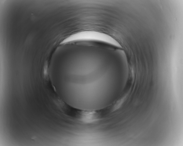 X0000088470143200706051349