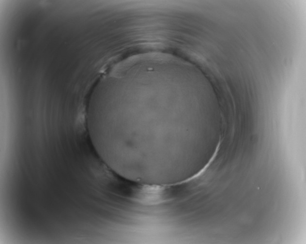 X0000088470144200706051349