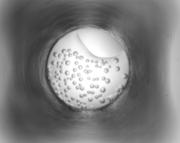 X0000088470145200706051348