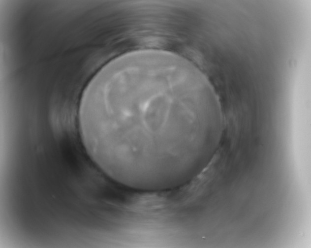 X0000088470146200706051348