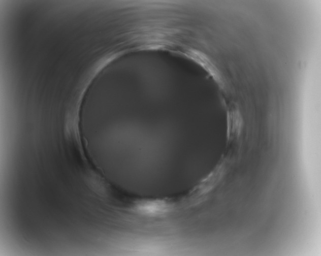 X0000088470147200706051348