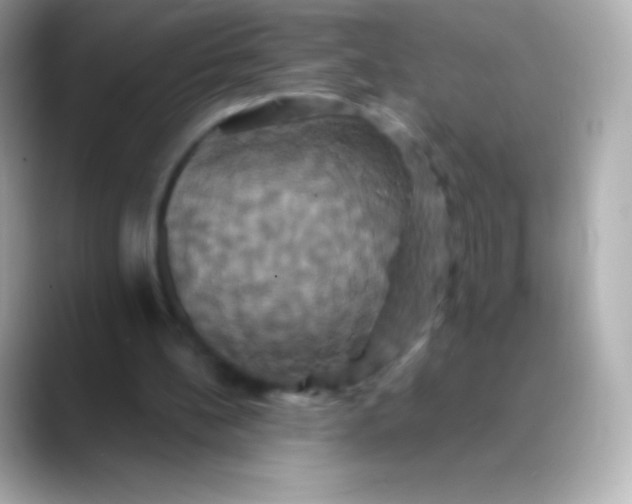 X0000088470148200706051348