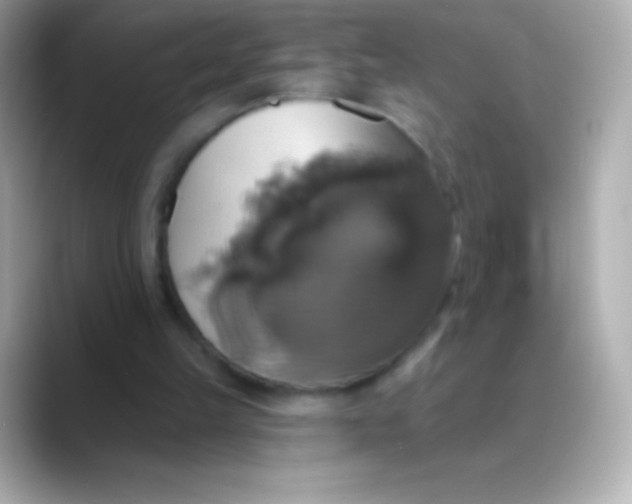 X0000088470149200706051348