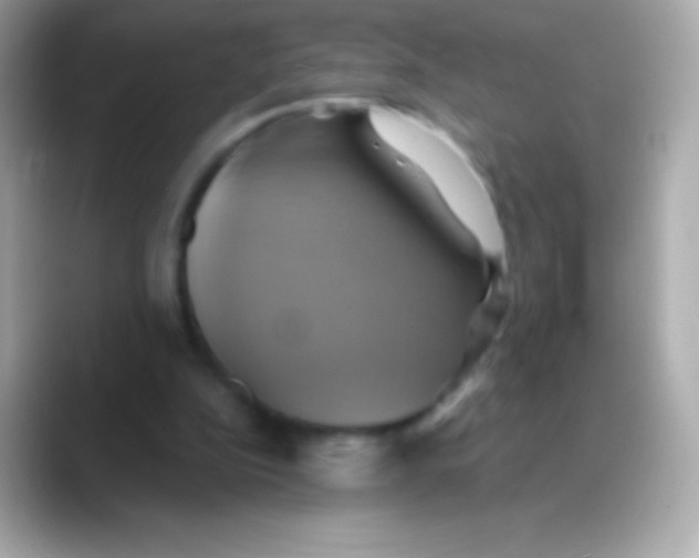 X0000088470152200706051349