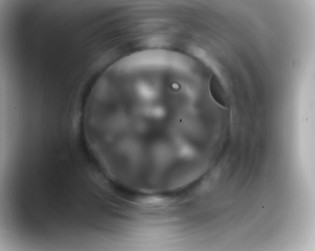 X0000088470153200706051349