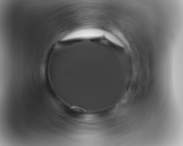 X0000088470154200706051349