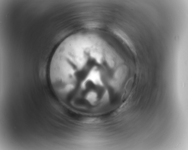 X0000088470155200706051349