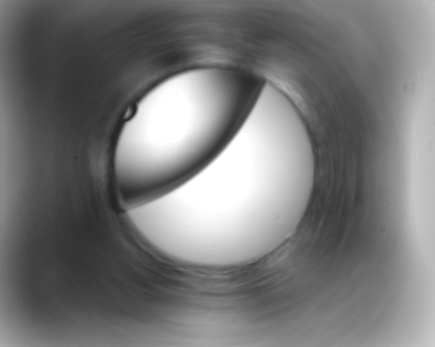 X0000088470156200706051349