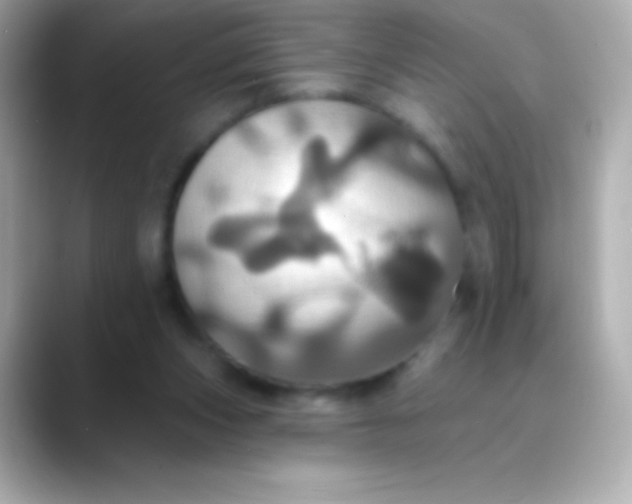 X0000088470159200706051349