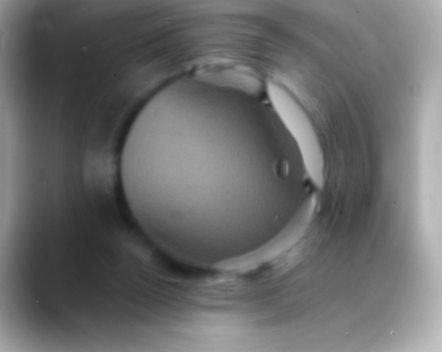 X0000088470160200706051349