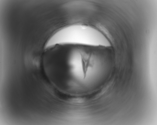 X0000088470161200706051349