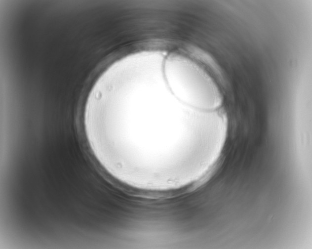 X0000088470162200706051349