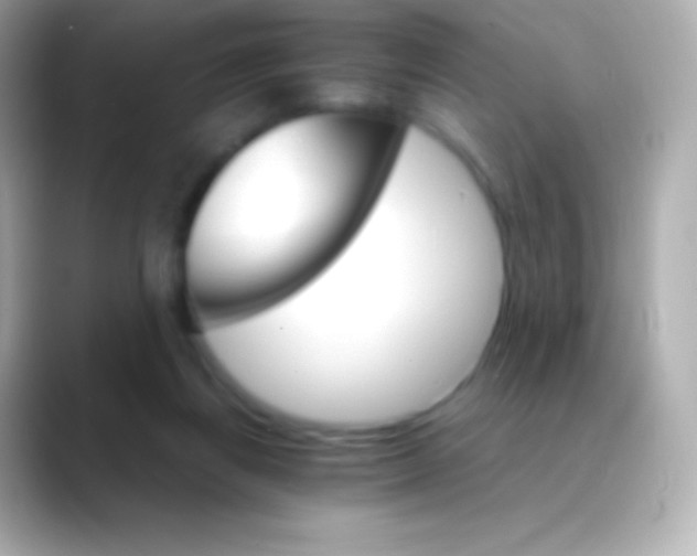 X0000088470164200706051349